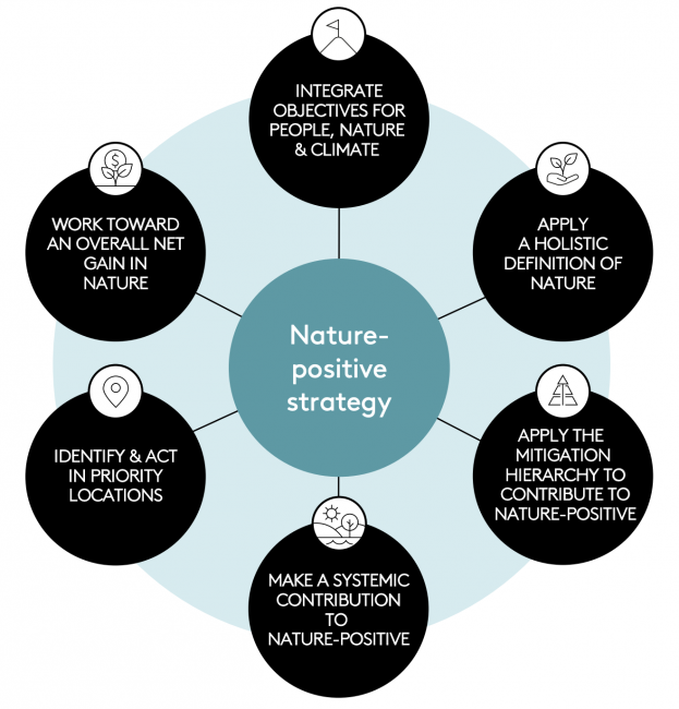 Road beyond net zero: Corporate actions to overturn nature loss - Callirius